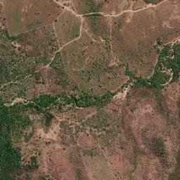 Elesbão Veloso map(satellite map)