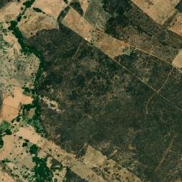 Rafael Fernandes map(satellite map)