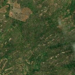 Antônio Martins map(satellite map)