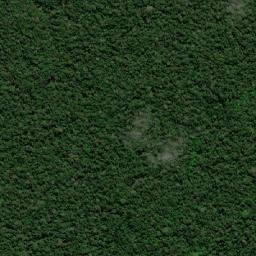 Tapauá map(satellite map)