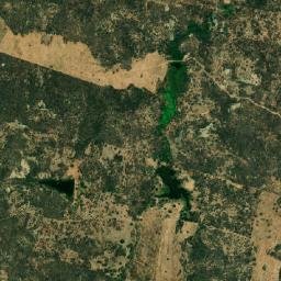 Marcelino Vieira map(satellite map)