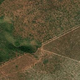 Fernando Falcão map(satellite map)