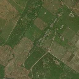 Lagoa d'Anta map(satellite map)