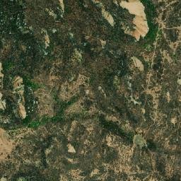Alexandria map(satellite map)