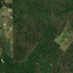 Nova Floresta map(satellite map)