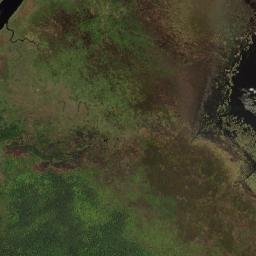 Kabupaten Mappi map(satellite map)