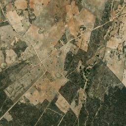 Damião map(satellite map)