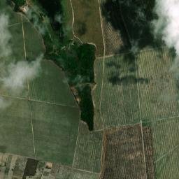 Capim map(satellite map)