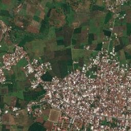 Randudongkal map(satellite map)