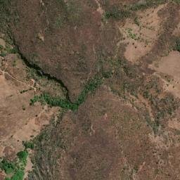 Paquetá map(satellite map)