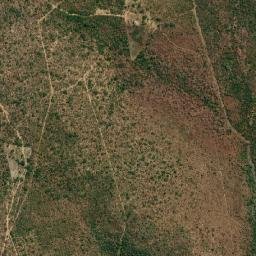 Loreto map(satellite map)