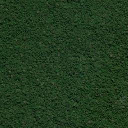 Ipixuna map(satellite map)
