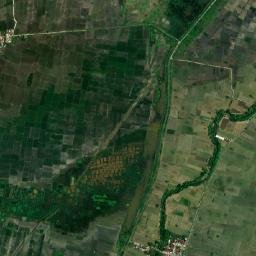 Kabupaten Lamongan map(satellite map)