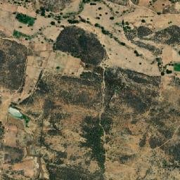 Catingueira map(satellite map)