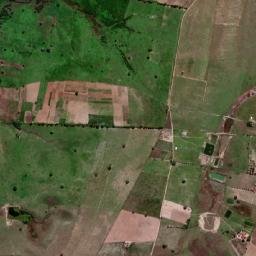 Riachão do Poço map(satellite map)