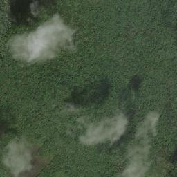 Middle Fly map(satellite map)