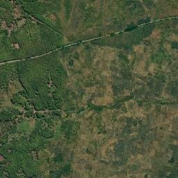 Kabupaten Bojonegoro map(satellite map)