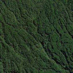 Baturaden map(satellite map)