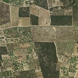 Brejinho map(satellite map)