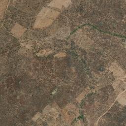 Francisco Macedo map(satellite map)