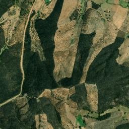 Curral Velho map(satellite map)