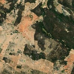 Tavares map(satellite map)