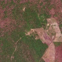 Flores do Piauí map(satellite map)