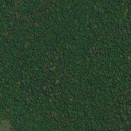 Pauini map(satellite map)