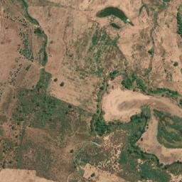 Bertolínia map(satellite map)