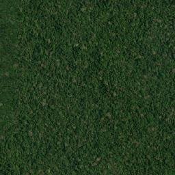 Apuí map(satellite map)