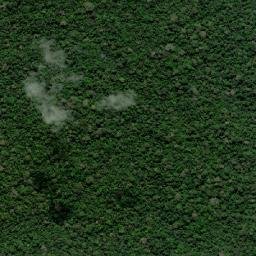 Rodrigues Alves map(satellite map)
