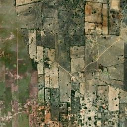 Frei Miguelinho map(satellite map)