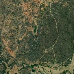 Verdejante map(satellite map)