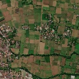 Wongsorejo map(satellite map)
