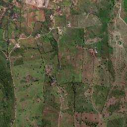 Passira map(satellite map)