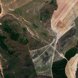 Goiatins map(satellite map)
