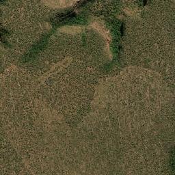 Ribeiro Gonçalves map(satellite map)