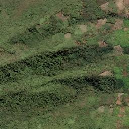Kabupaten Flores Timur map(satellite map)