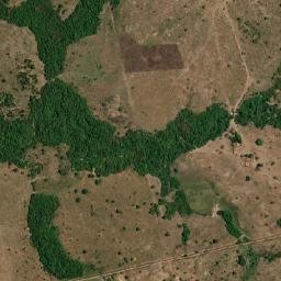 Pequizeiro map(satellite map)