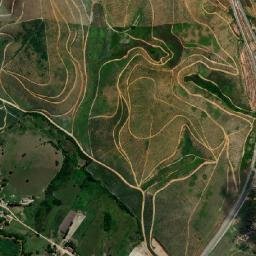 Ribeirão map(satellite map)