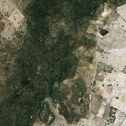 Alagoinha map(satellite map)