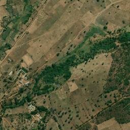 Laela map(satellite map)