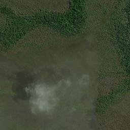South Fly map(satellite map)