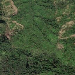 Kabupaten Sikka map(satellite map)