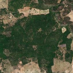 Manari map(satellite map)