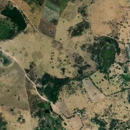 Brejão map(satellite map)