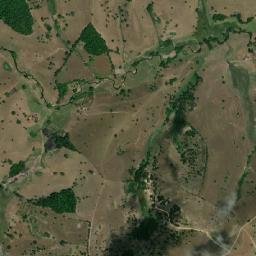 Palmeirina map(satellite map)