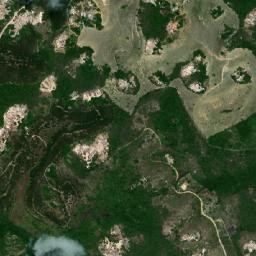 Japaratinga map(satellite map)