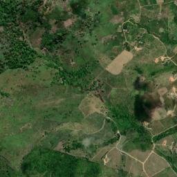 Joaquim Gomes map(satellite map)