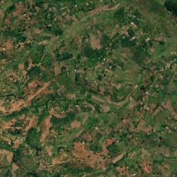 Ikuti map(satellite map)
